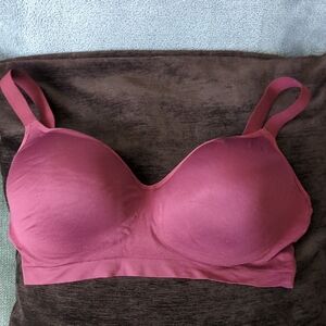 *. Seamless Pink Bra